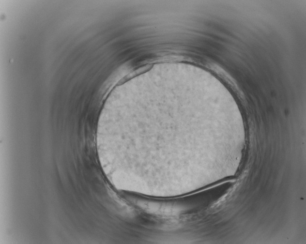 X0000068741193200605262043