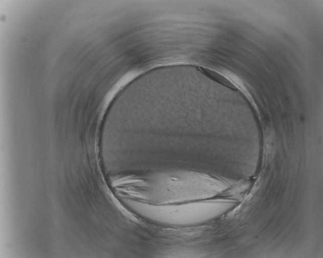 X0000068741197200605262043