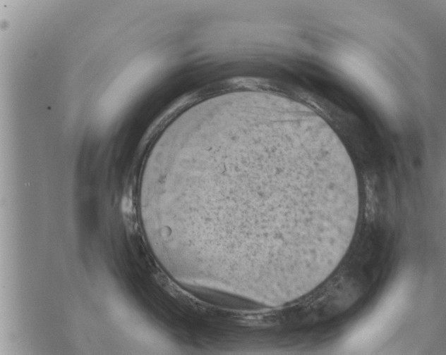 X0000068741198200605262043