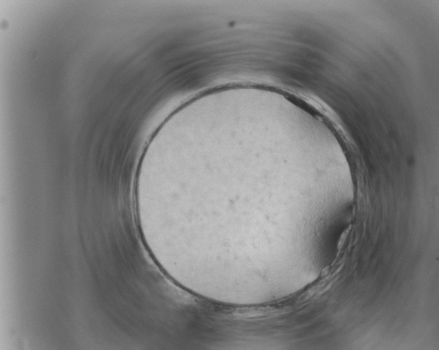 X0000068741199200605262043