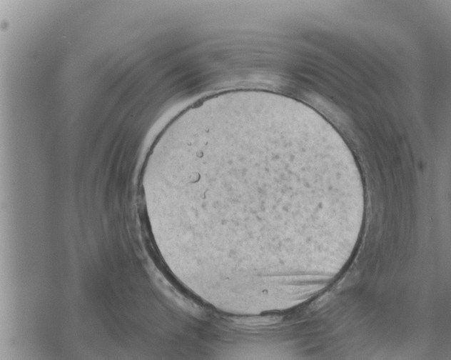 X0000068741200200605262043