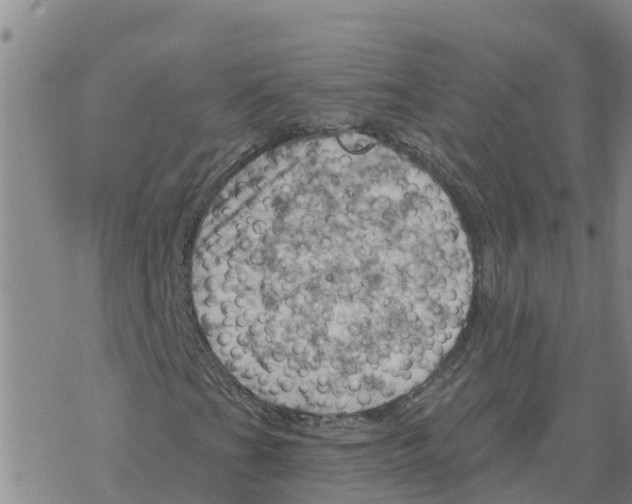 X0000068741201200605262042