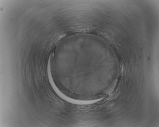 X0000068741202200605262042