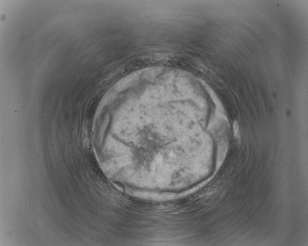 X0000068741203200605262042