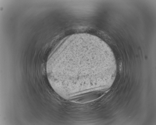 X0000068741204200605262042