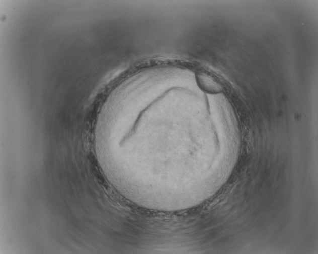 X0000068741207200605262042