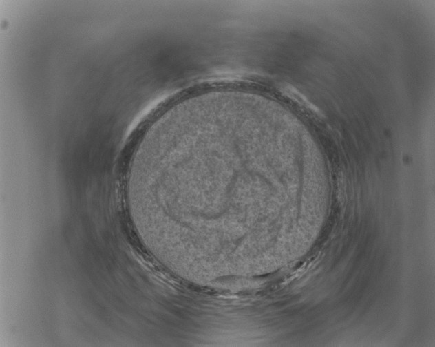 X0000068741208200605262042