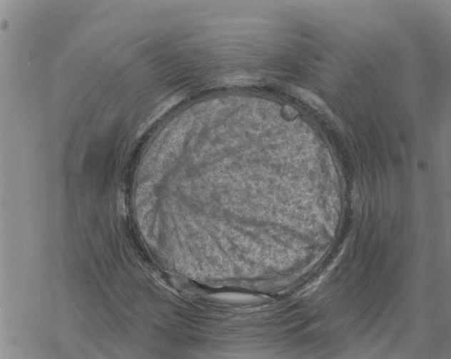 X0000068741209200605262042