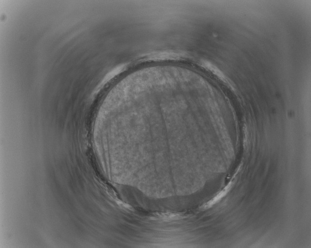 X0000068741213200605262042