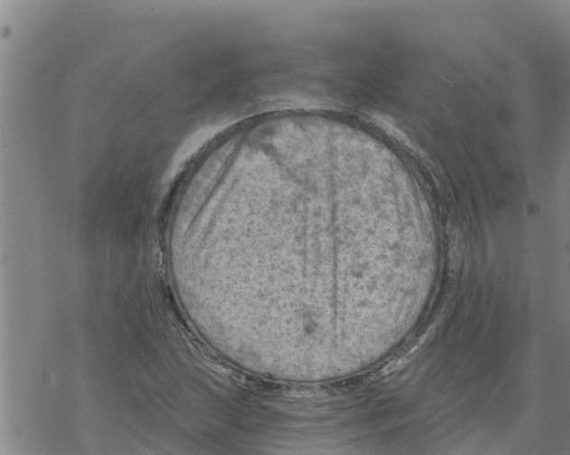 X0000068741215200605262042