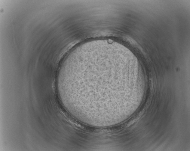 X0000068741217200605262042