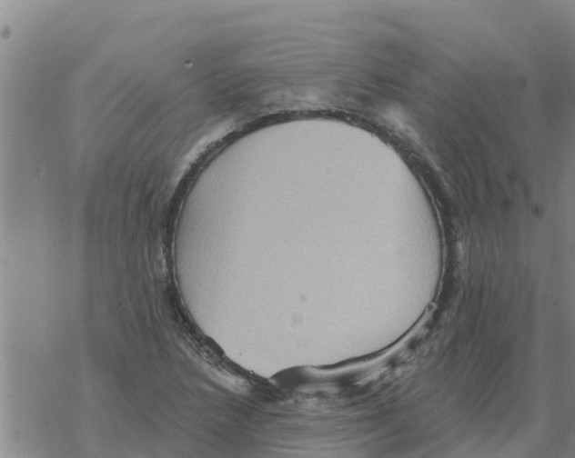 X0000068741218200605262042