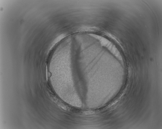 X0000068741219200605262042