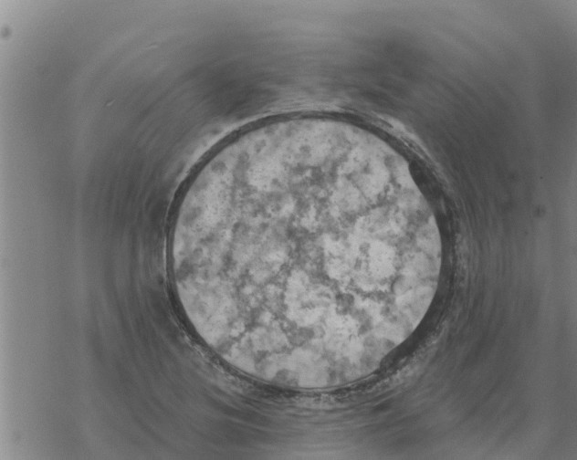 X0000068741220200605262042