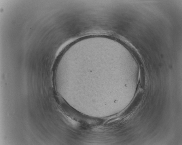 X0000068741222200605262042