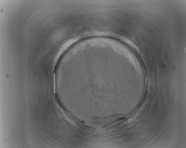 X0000068741223200605262042