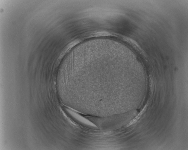 X0000068741225200605262042