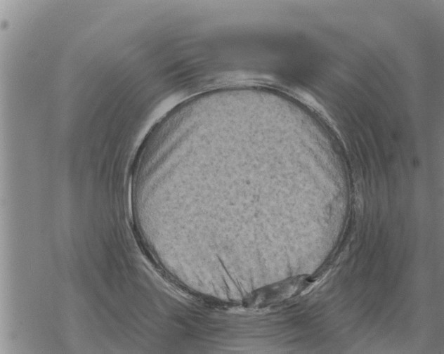 X0000068741227200605262042