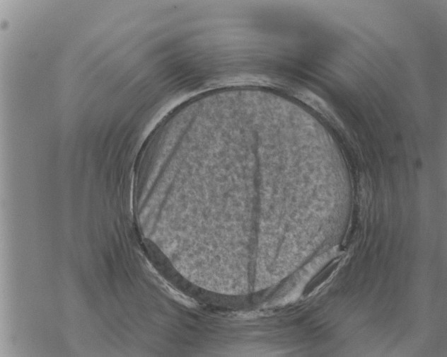 X0000068741228200605262042