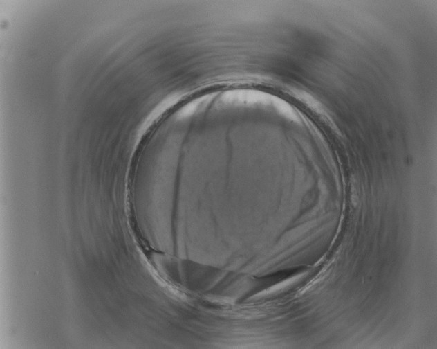 X0000068741229200605262042