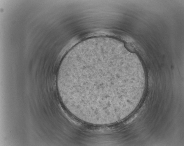 X0000068741233200605262042