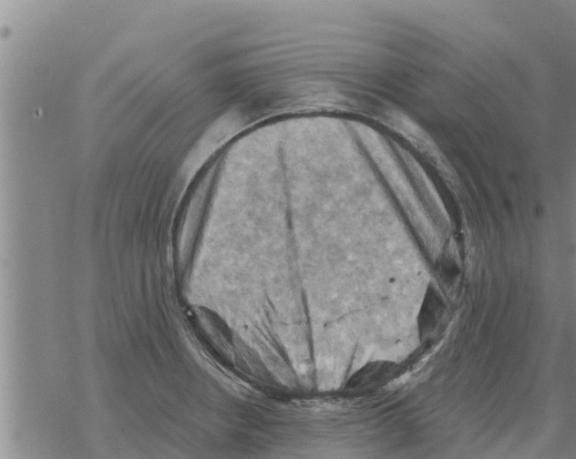 X0000068741234200605262042