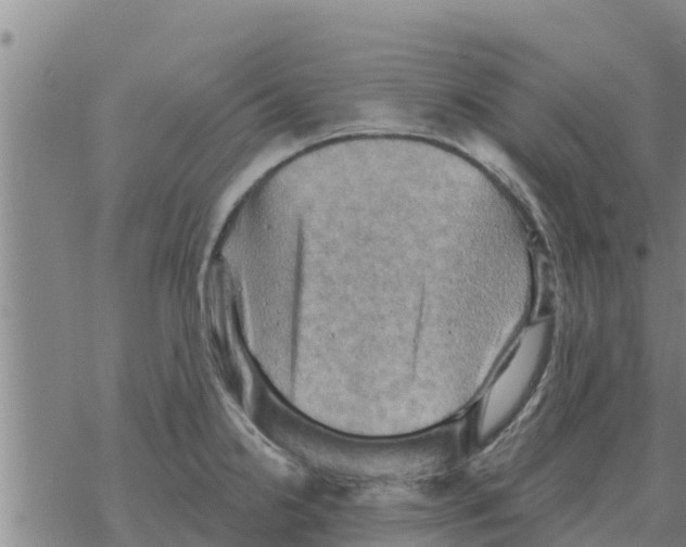 X0000068741238200605262043