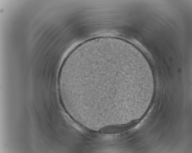 X0000068741240200605262043