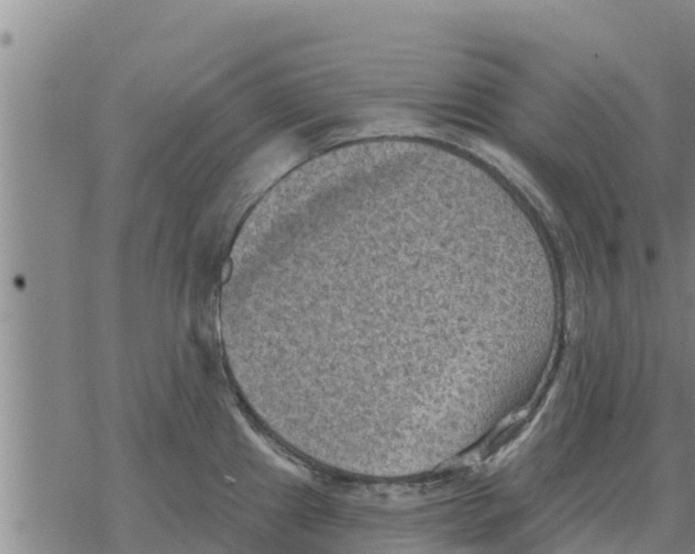 X0000068741241200605262043