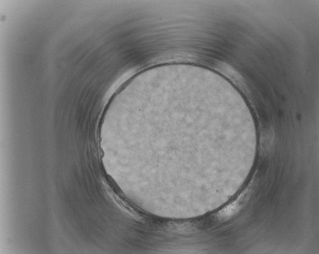 X0000068741242200605262043