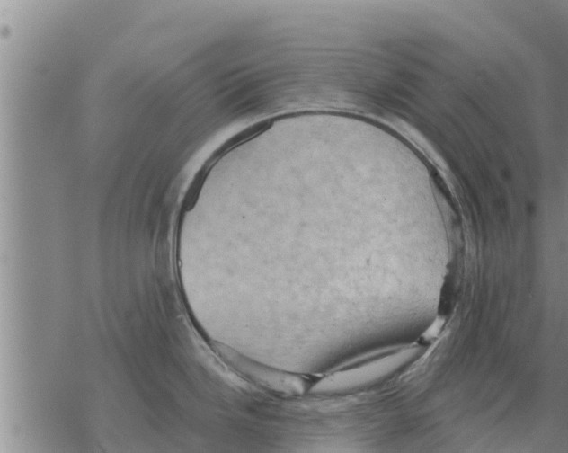 X0000068741246200605262043