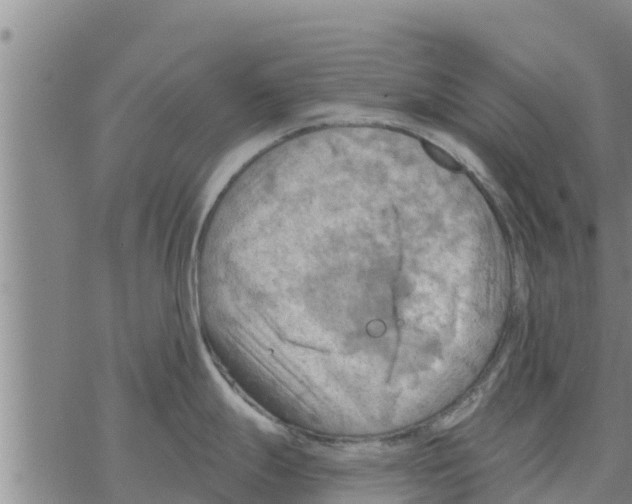 X0000068741247200605262043