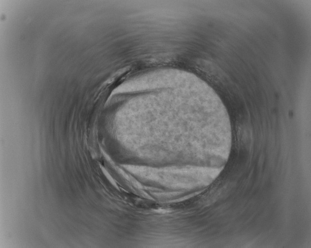 X0000068741250200605262042