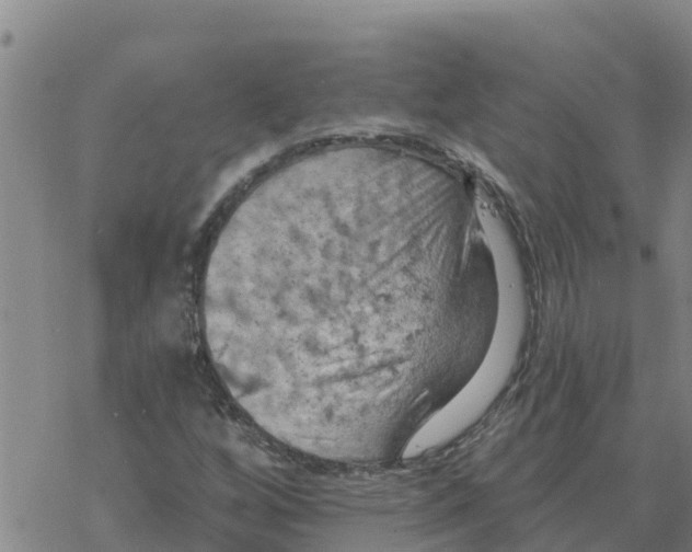 X0000068741256200605262042