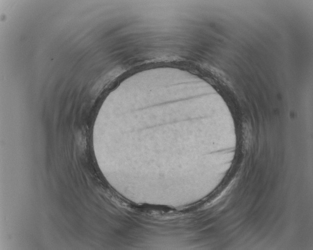 X0000068741257200605262042