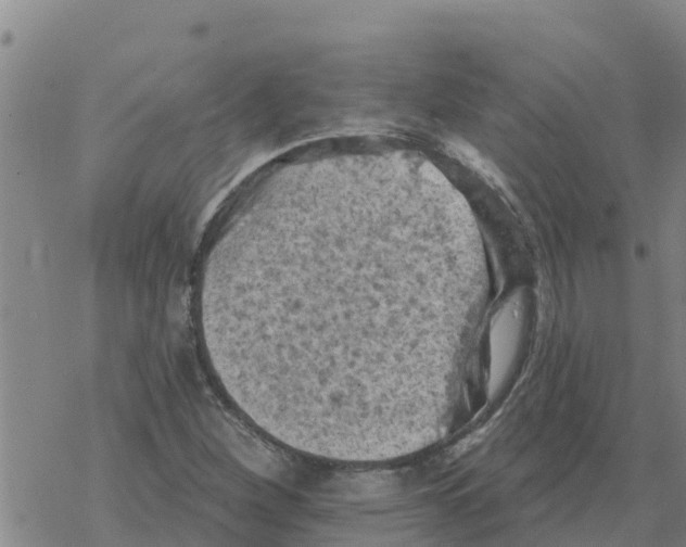 X0000068741260200605262042