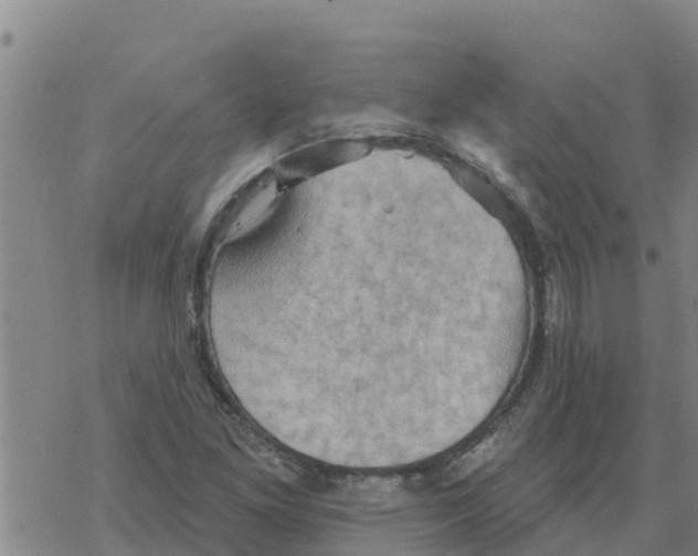 X0000068741261200605262042