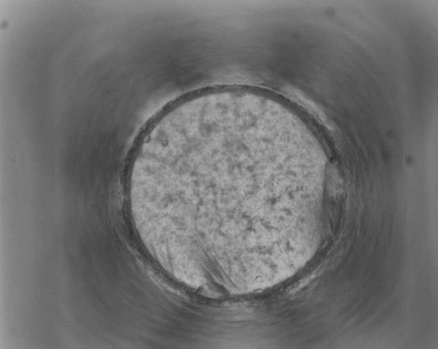 X0000068741264200605262042