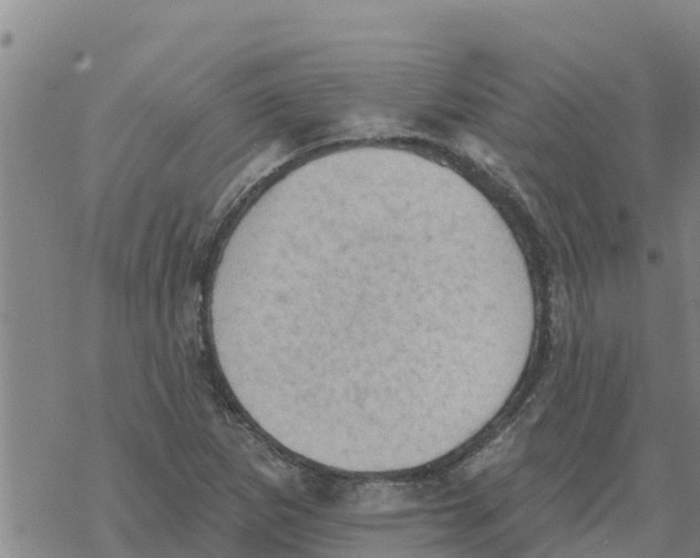 X0000068741265200605262042