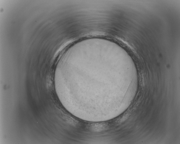 X0000068741266200605262042