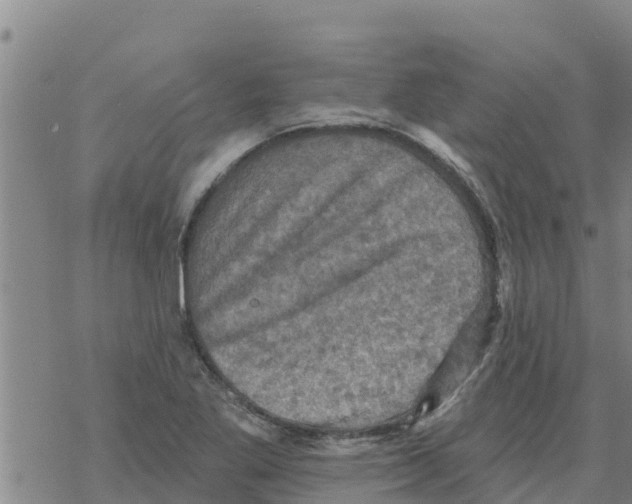 X0000068741269200605262042