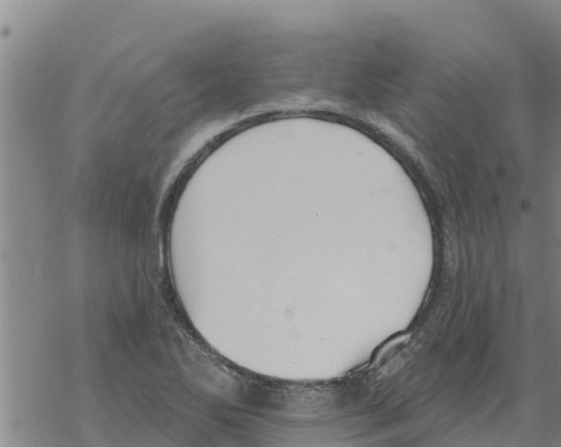 X0000068741270200605262042