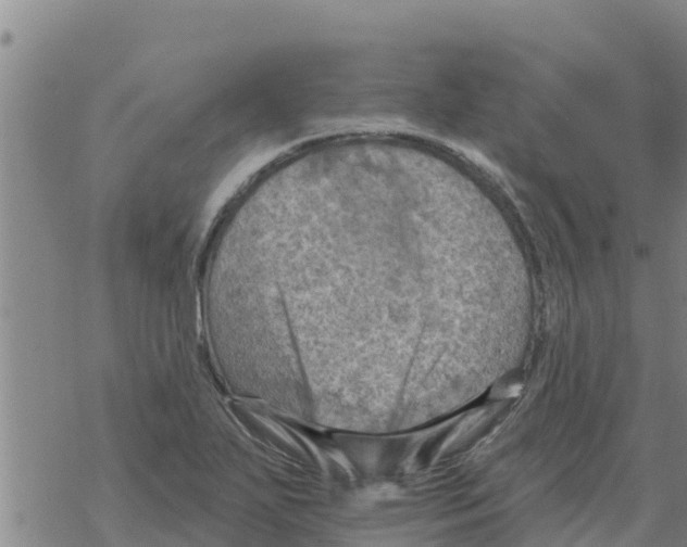 X0000068741271200605262042