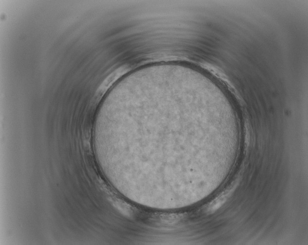 X0000068741273200605262042