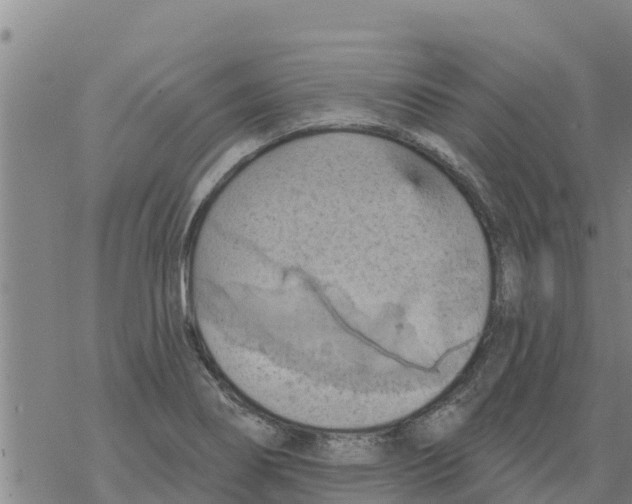 X0000068741274200605262042