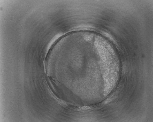 X0000068741275200605262042