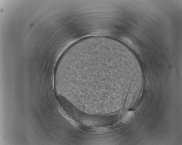 X0000068741276200605262041