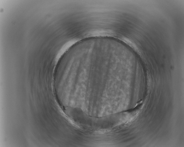 X0000068741277200605262041