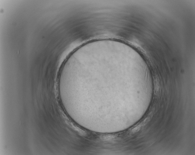 X0000068741278200605262041