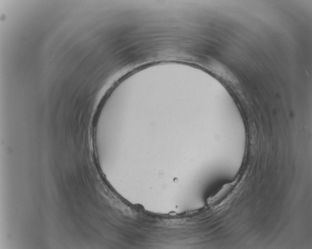 X0000068741280200605262041